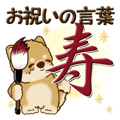 [LINEスタンプ] 柴犬・茶色い犬【お祝いの言葉】