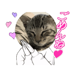 [LINEスタンプ] 子猫ロイミトスタンプ①