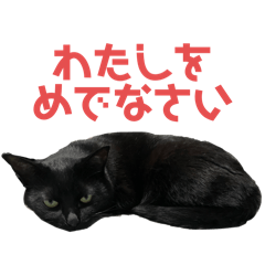 [LINEスタンプ] ぐーさまだけじゃない4