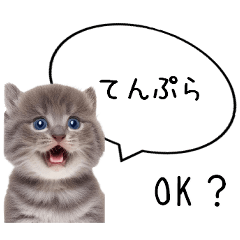 [LINEスタンプ] 夕食何がいいか聞くスタンプ