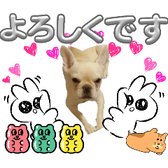 [LINEスタンプ] 甘えん坊わさびさんの日常②