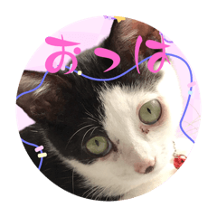 [LINEスタンプ] みい子からパパへ14