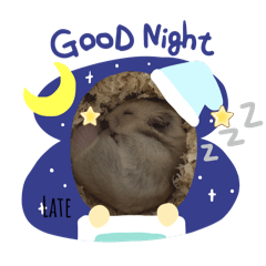 [LINEスタンプ] ゴールデンハムスターLate♂