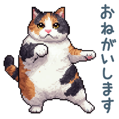 [LINEスタンプ] 敬語を使う三毛猫【ネコ・ねこ・日常会話】