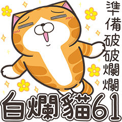 [LINEスタンプ] ランラン猫 61 (台湾版)