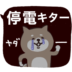 [LINEスタンプ] ◯SHIBAINUさん◯防災…大丈夫？