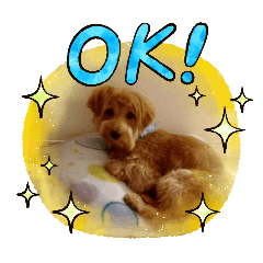 [LINEスタンプ] 一緒な思い出