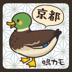 [LINEスタンプ] 京都鴨スタンプ