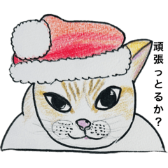 [LINEスタンプ] 小太郎師匠のスタンプ