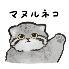 [LINEスタンプ] 毎日使える！マヌルネコ