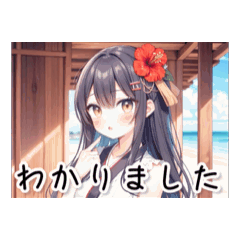 [LINEスタンプ] 沖縄と女の子とハイビスカス日常スタンプ2