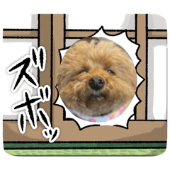 [LINEスタンプ] かわいいジェ1