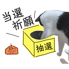 [LINEスタンプ] にゃ〜のあるひ