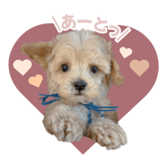 [LINEスタンプ] ぷぅばぶすた