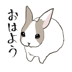 [LINEスタンプ] うさぎのちゃちゃスタンプ