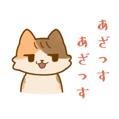 [LINEスタンプ] 圧倒的知的な猫派