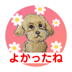 [LINEスタンプ] トイプードルキナちゃん