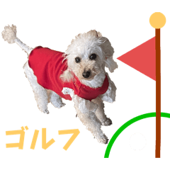 [LINEスタンプ] めるるゴルフ