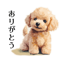 [LINEスタンプ] Cute poodle stampsの画像（メイン）