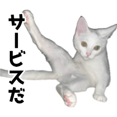 [LINEスタンプ] ルルのラインスタンプ