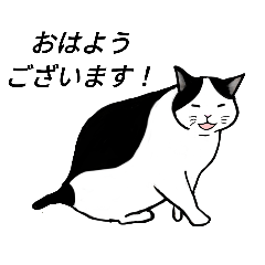 [LINEスタンプ] 毎日使える！猫ちゃん♡の画像（メイン）