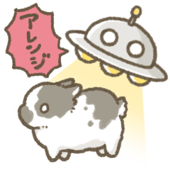 [LINEスタンプ] まとわりつく！こうさぎさん