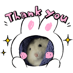 [LINEスタンプ] ハムスターのはむはむ