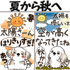 [LINEスタンプ] 【Big】シーズー犬『夏から秋へ』の画像（メイン）