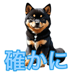 [LINEスタンプ] かわいい黒柴犬シバちゃんの日常