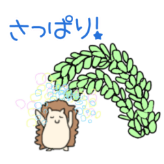 [LINEスタンプ] 毎日タニパト♡ハリネズミの多肉スタンプの画像（メイン）