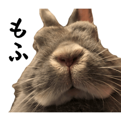 [LINEスタンプ] らびらびうさぎ6