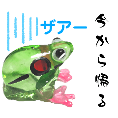 [LINEスタンプ] 蛙が帰る