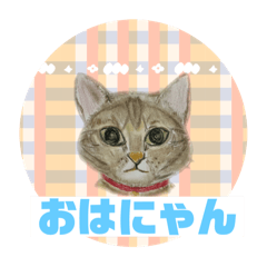 [LINEスタンプ] クルミさんの似顔絵