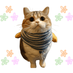 [LINEスタンプ] 表情で使える猫ミームの画像（メイン）