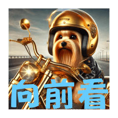 [LINEスタンプ] Yorkshire Terrier riding a motorcycle