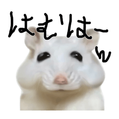 [LINEスタンプ] 癖強ハムスターさん