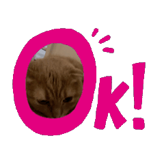 [LINEスタンプ] chat stamp me