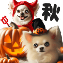 [LINEスタンプ] 白チワワの秋ハロウィン可愛い日常会話