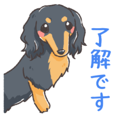 [LINEスタンプ] うちのダックスがいちばんかわいい。