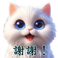 [LINEスタンプ] かわいい猫のペルシャ猫のステッカー