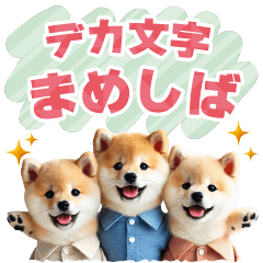 [LINEスタンプ] まめしばのデカ文字スタンプの画像（メイン）