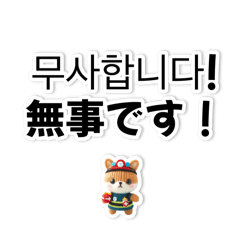 [LINEスタンプ] 【災害・体調不良時】日韓翻訳スタンプ