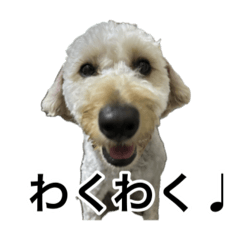 [LINEスタンプ] HIME ～ひめ～ Ver.5