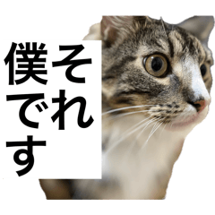 [LINEスタンプ] うちのゲベナマ4