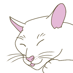 [LINEスタンプ] 【毎日使える】白猫とブチ猫のご挨拶