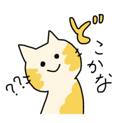 [LINEスタンプ] 被り猫の日常