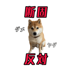 [LINEスタンプ] どんが気持ちを伝える