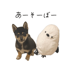[LINEスタンプ] 柴犬レンの日常スタンプ