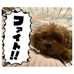 [LINEスタンプ] かわいいジェ2(修正)