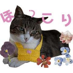 [LINEスタンプ] ごえもん日和19